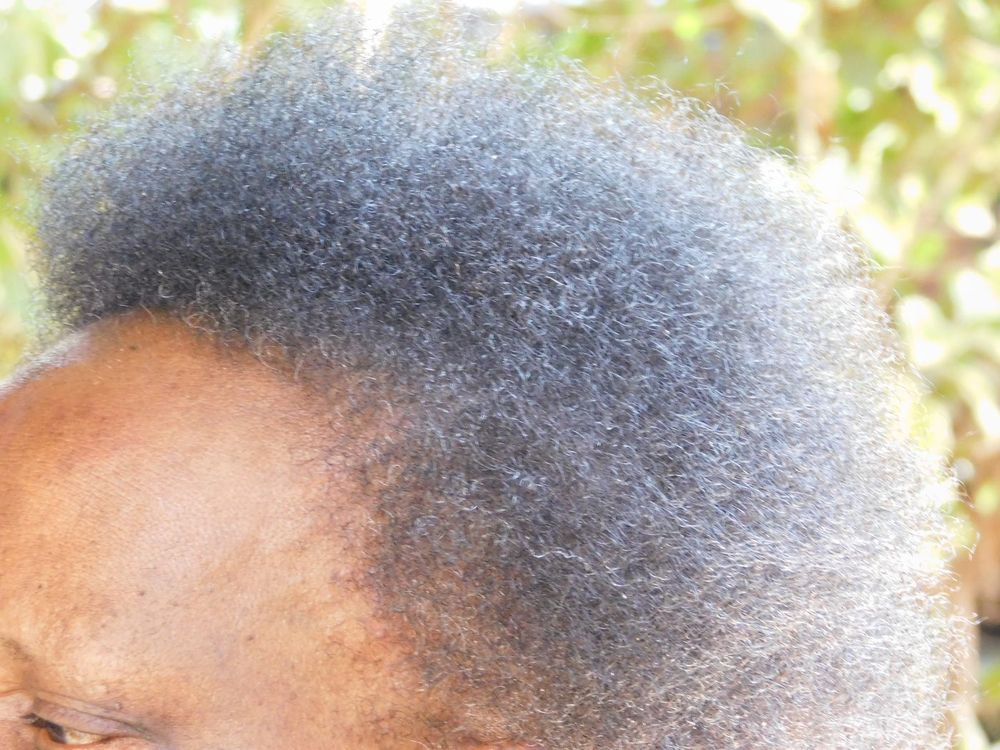 Close-up of grey, textured natural hair at the hairline in natural light